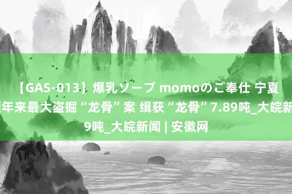 【GAS-013】爆乳ソープ momoのご奉仕 宁夏警方破获频年来最大盗掘“龙骨”案 缉获“龙骨”7.89吨_大皖新闻 | 安徽网