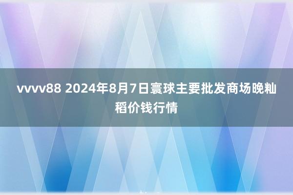vvvv88 2024年8月7日寰球主要批发商场晚籼稻价钱行情