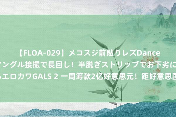 【FLOA-029】メコスジ前貼りレズDance オマ○コ喰い込みをローアングル接撮で長回し！半脱ぎストリップでお下劣にケツをシェイクするエロカワGALS 2 一周筹款2亿好意思元！距好意思国大选不及百日，特朗普若何迎战“哈里斯旋风”