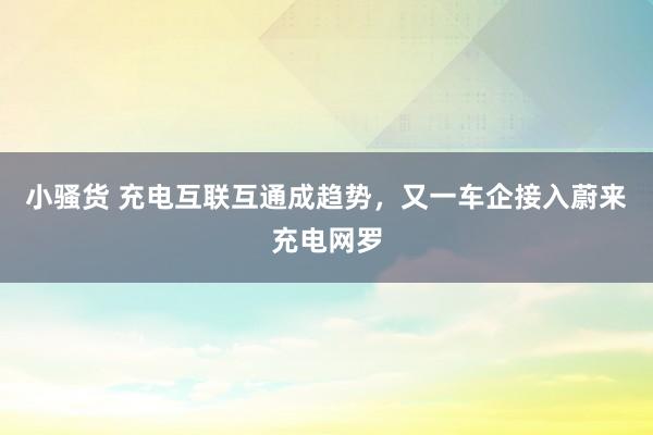 小骚货 充电互联互通成趋势，又一车企接入蔚来充电网罗