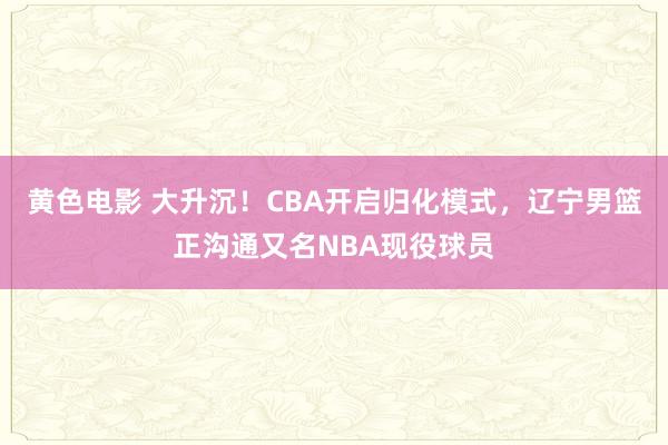 黄色电影 大升沉！CBA开启归化模式，辽宁男篮正沟通又名NBA现役球员