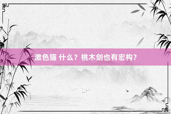 激色猫 什么？桃木剑也有宏构？