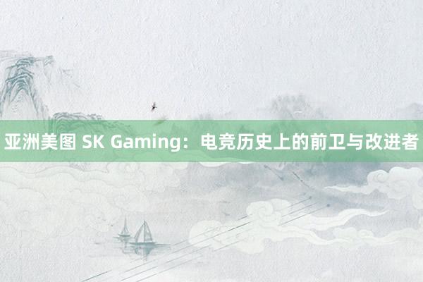 亚洲美图 SK Gaming：电竞历史上的前卫与改进者