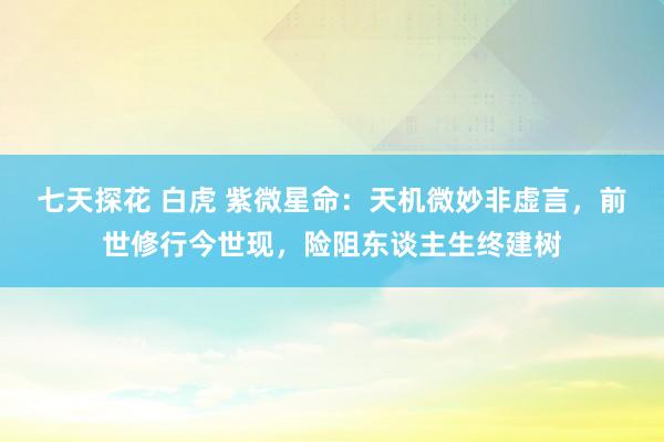 七天探花 白虎 紫微星命：天机微妙非虚言，前世修行今世现，险阻东谈主生终建树