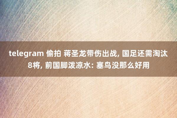telegram 偷拍 蒋圣龙带伤出战, 国足还需淘汰8将, 前国脚泼凉水: 塞鸟没那么好用