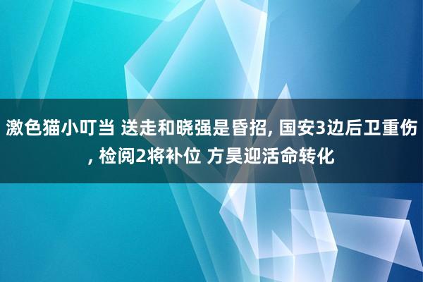 激色猫小叮当 送走和晓强是昏招, 国安3边后卫重伤, 检阅2将补位 方昊迎活命转化