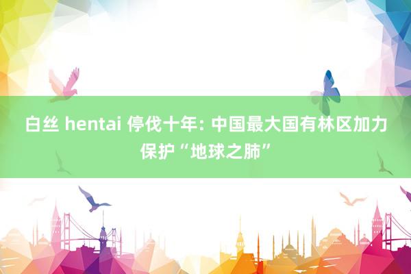 白丝 hentai 停伐十年: 中国最大国有林区加力保护“地球之肺”