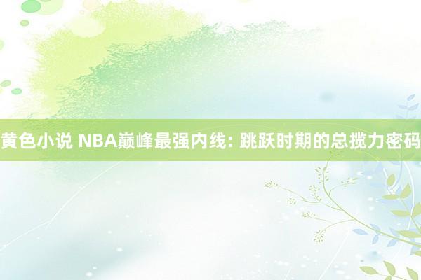 黄色小说 NBA巅峰最强内线: 跳跃时期的总揽力密码