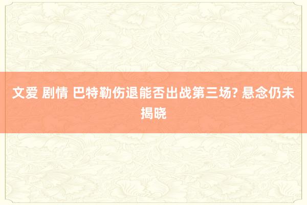文爱 剧情 巴特勒伤退能否出战第三场? 悬念仍未揭晓