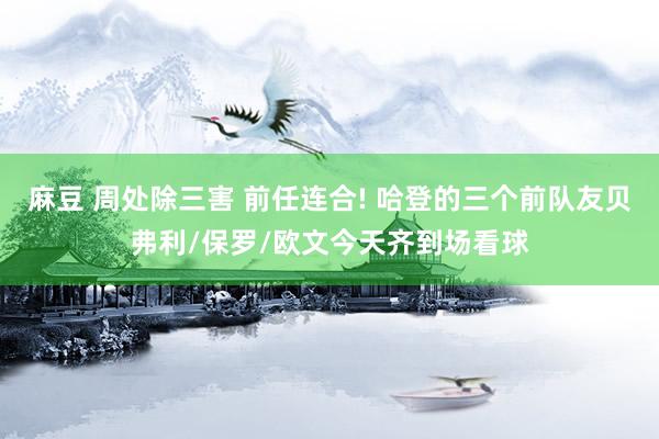 麻豆 周处除三害 前任连合! 哈登的三个前队友贝弗利/保罗/欧文今天齐到场看球