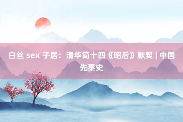 白丝 sex 子居：清华简十四《昭后》默契 | 中国先秦史