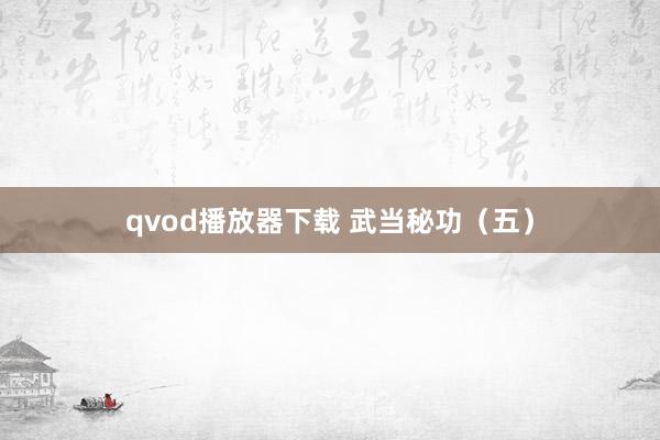 qvod播放器下载 武当秘功（五）