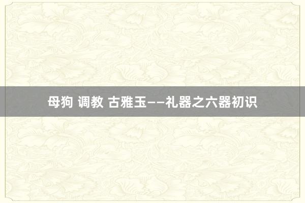 母狗 调教 古雅玉——礼器之六器初识