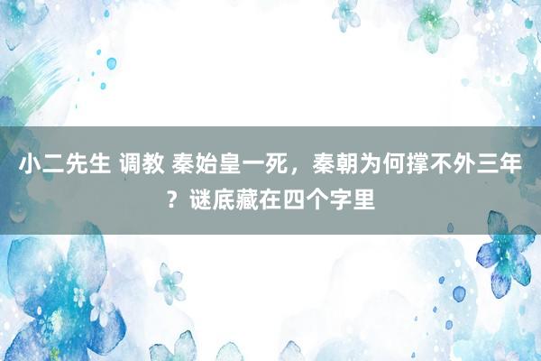 小二先生 调教 秦始皇一死，秦朝为何撑不外三年？谜底藏在四个字里